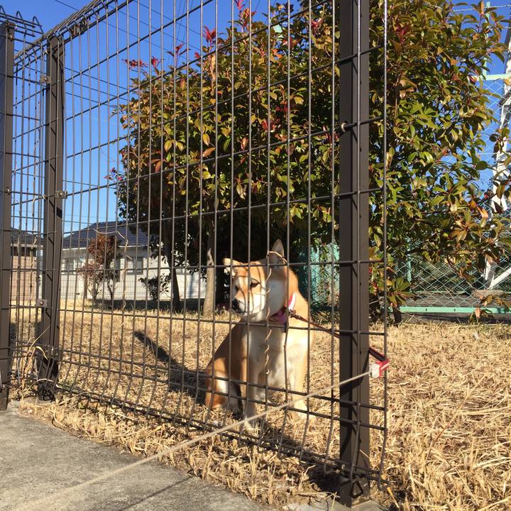 Cdd96a7c 6fee 4d0f a9f0 62255f6fa6ec