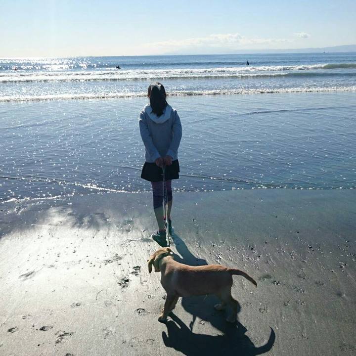 Cdd981e8 7916 4087 8ca5 c4c967fd5ac5