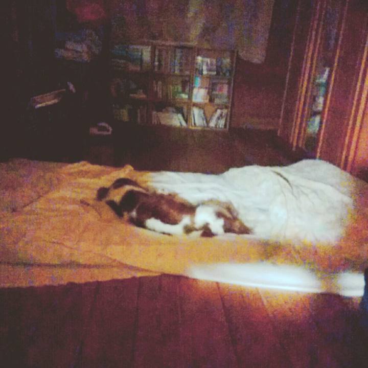 Cdd9d95d bd16 482b 98f5 f4972eb4d4f2