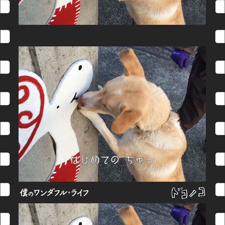 Cdda08db 88d6 4016 8226 ac3f3063c37c