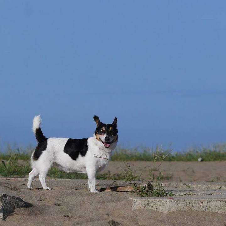 Cdda2105 dffb 4360 9f3d 7dfb0a6503d6