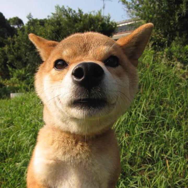 Cdda51e8 3e6b 4857 905c de4cc0a56b93