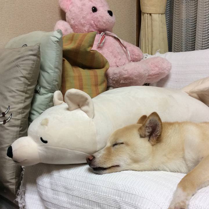 Cdda840d cb0e 44f9 b145 1c25a549ccba