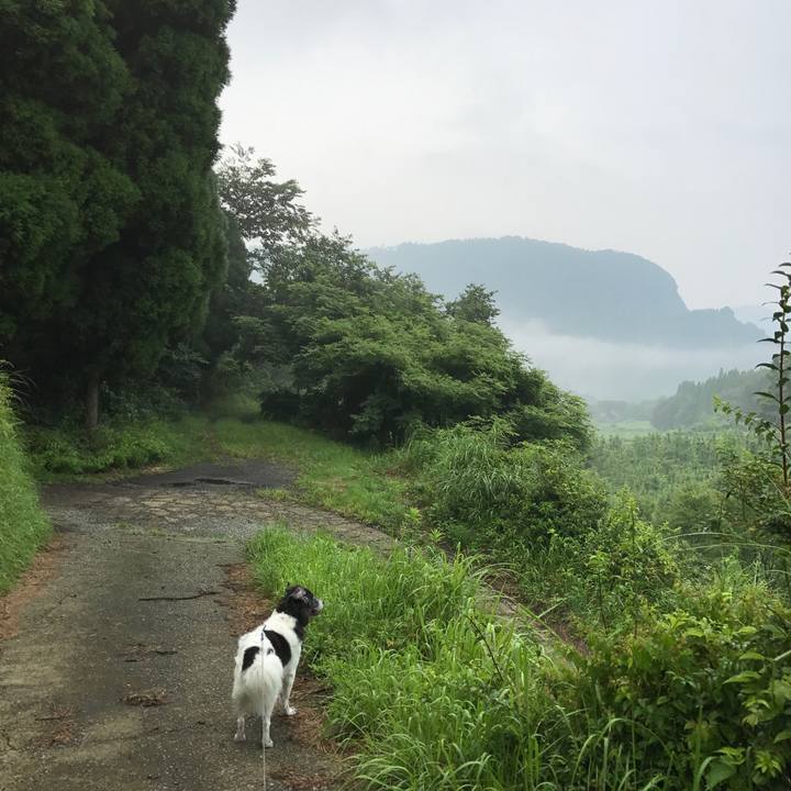 Cddaa6bb ad3c 45f0 b428 fe62cddf7b96