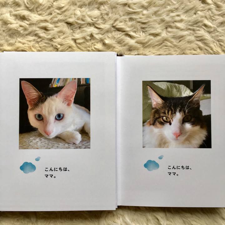 Cddab6f3 d6e7 48b6 8d2f 95154251d96b