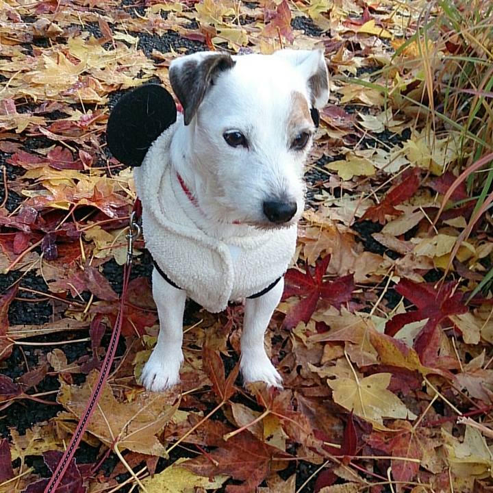 Cddad2d6 8b3e 445b 8885 66ce7ea472bf