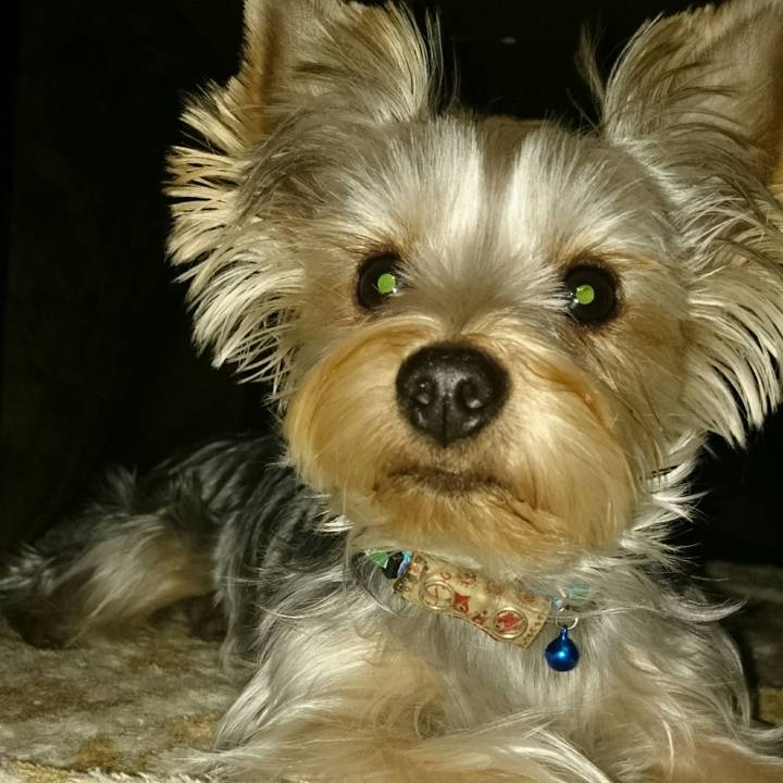 Cddb6bdd 5529 45a8 9409 c565eb3d35a1