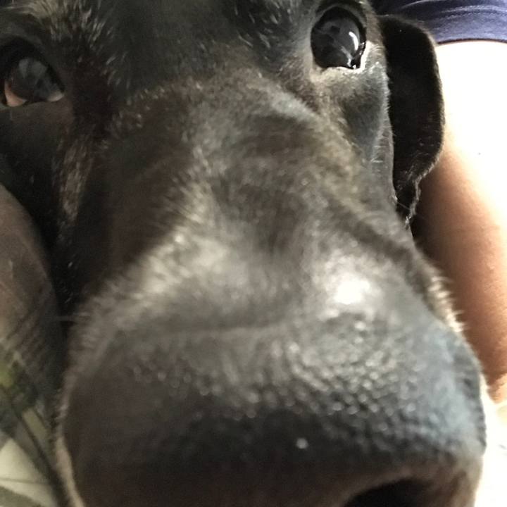 Cddb7b9f c1d4 48f9 9819 f0dcd40a666a