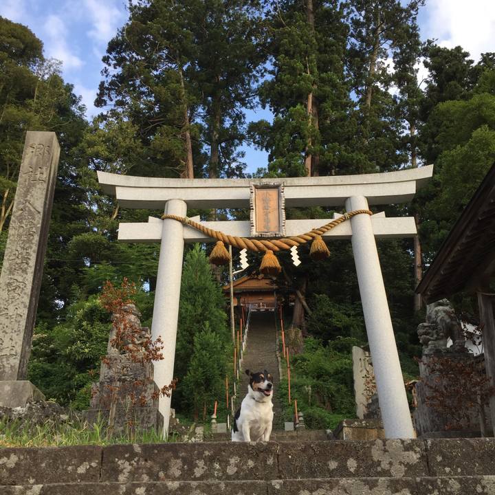 Cddbe9f9 7157 45fe 8563 485b130e23e7