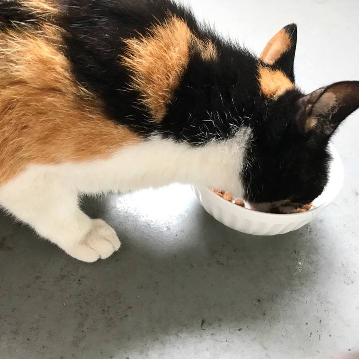 Cddcce0a 120d 430e a0d6 ccacc6084718