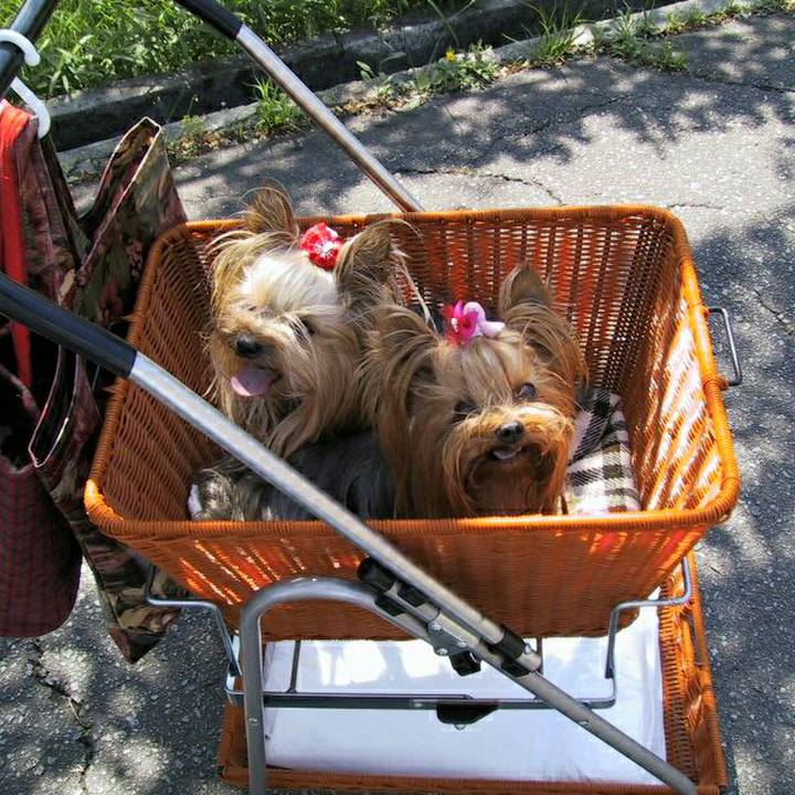 Cddcf723 f0d6 4c3e b7e5 2f75f316db3f