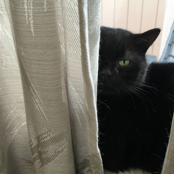 Cddd3669 f5a9 46e0 a41d 4945f7aeb580