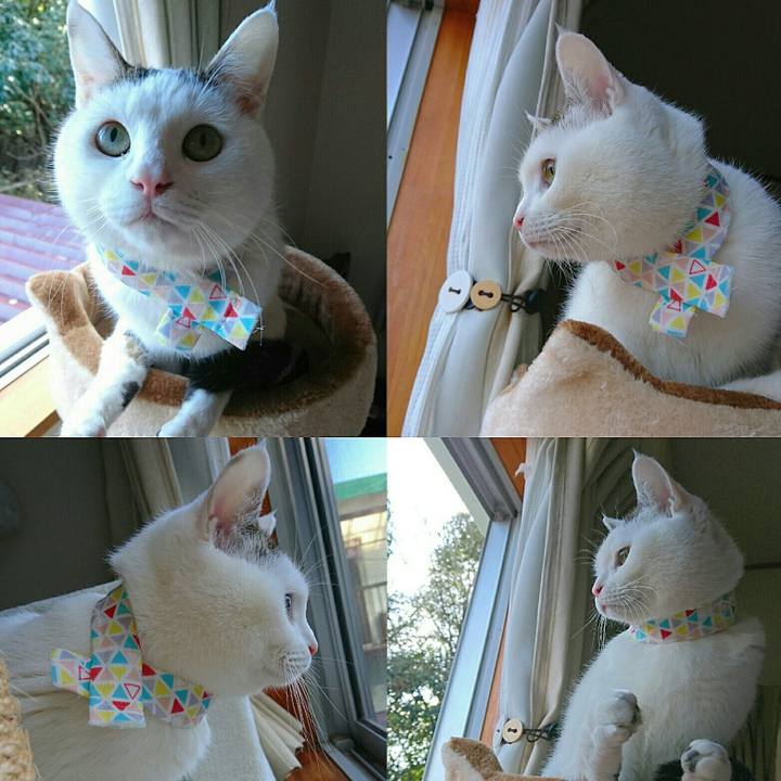 Cddd636a 8f91 451b 9340 462eb1002895