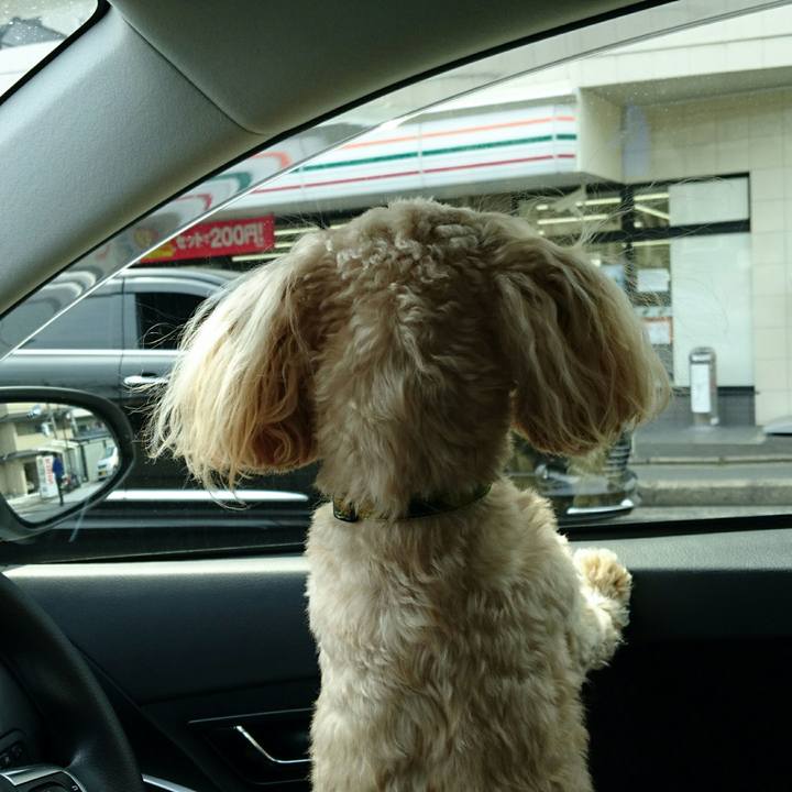 Cdddb7cc b039 405e 8074 8d79a02d011e