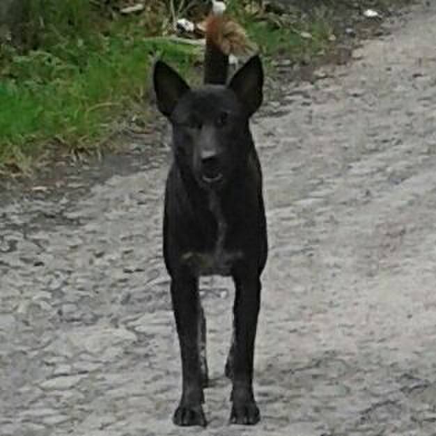 Cddde0ba 630b 4738 9488 f4503b1a0724