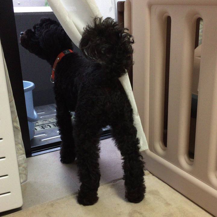 Cdde258f 46d4 4e6d 9d37 ad6abacb0b0f