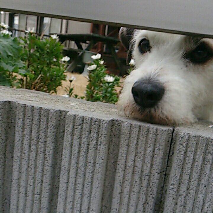 Cddedb79 84a9 4a09 a8b8 13767f79c2e2