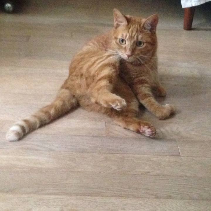 Cddf079a 2177 4269 98b4 9637a1dff569