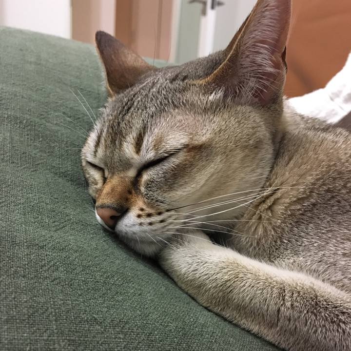 Cddf837c 9945 4cd2 bcdc 18b634673092