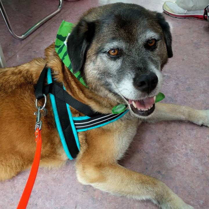 Cddf968a c8b3 4cfd bcc8 440cdfd038cc