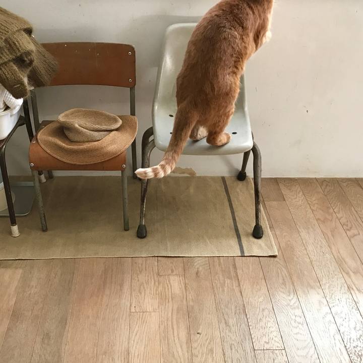 Cddfe20f b99e 4bc0 a73b c05f568b82aa