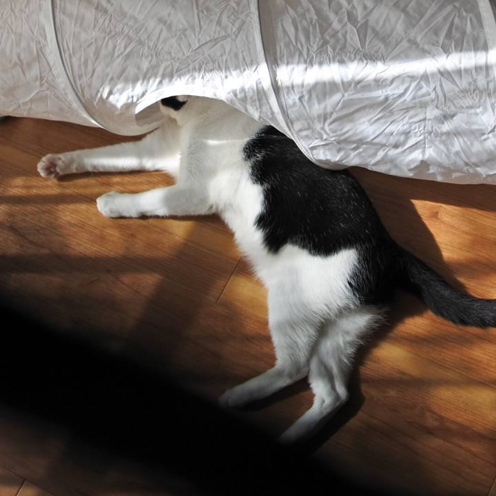 Cde01bc1 3eac 430b a6e1 166e4df9c4ba