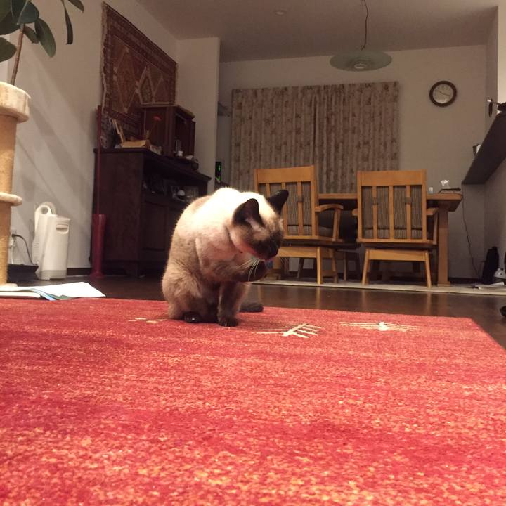 Cde20ddc c9ff 43c9 8afa 17c25af18929