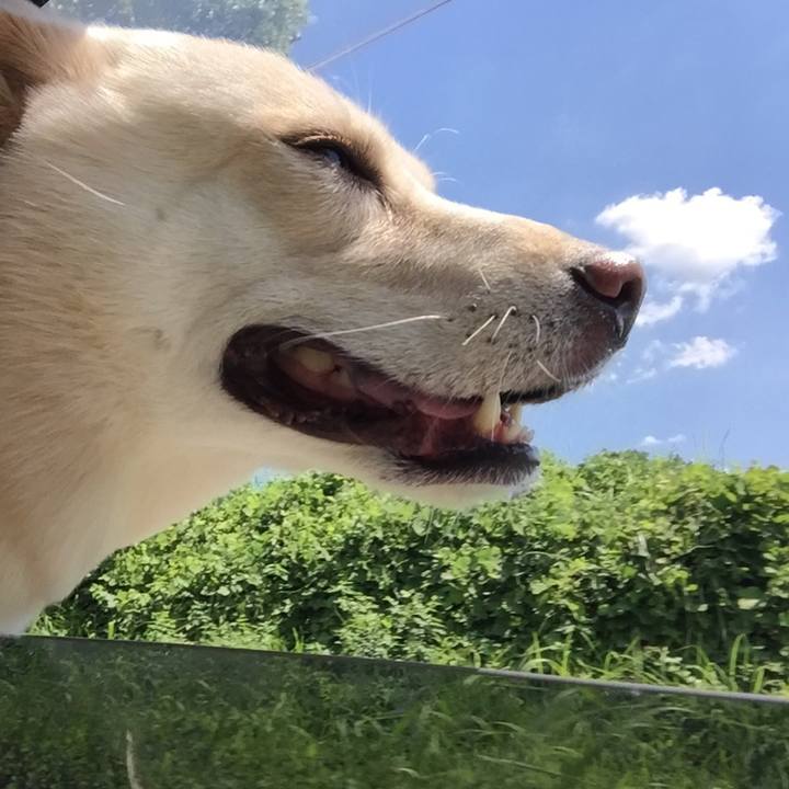 Cde27896 2dc7 465d b87e 8e0744b50ec6