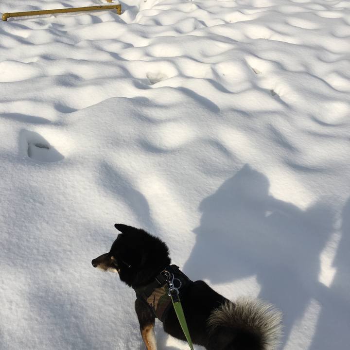 Cde2e6f2 ac14 44b4 8ae0 35517b35c9f2