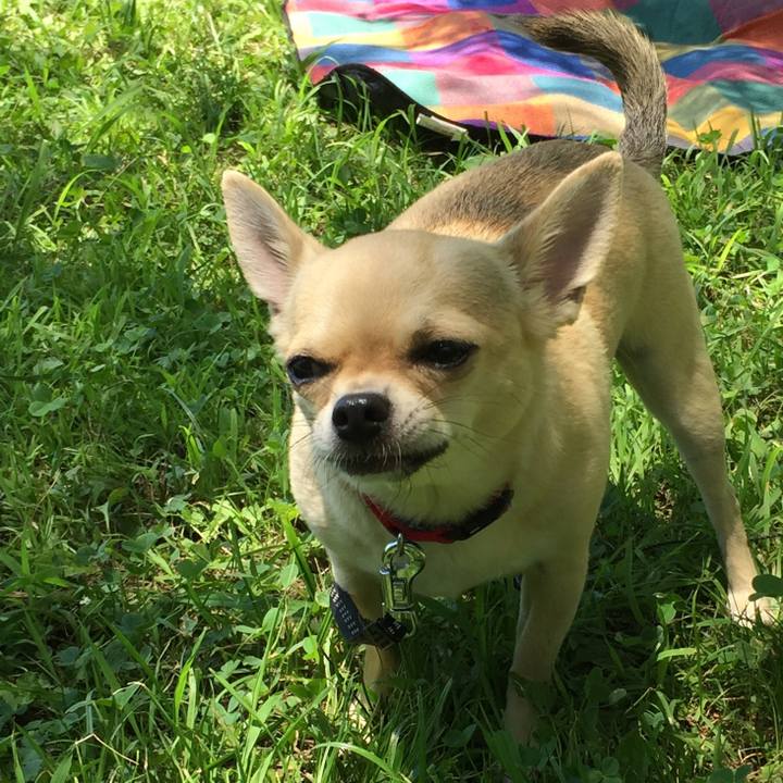 Cde2f57f 66b4 4878 adc3 963ff9d3890f