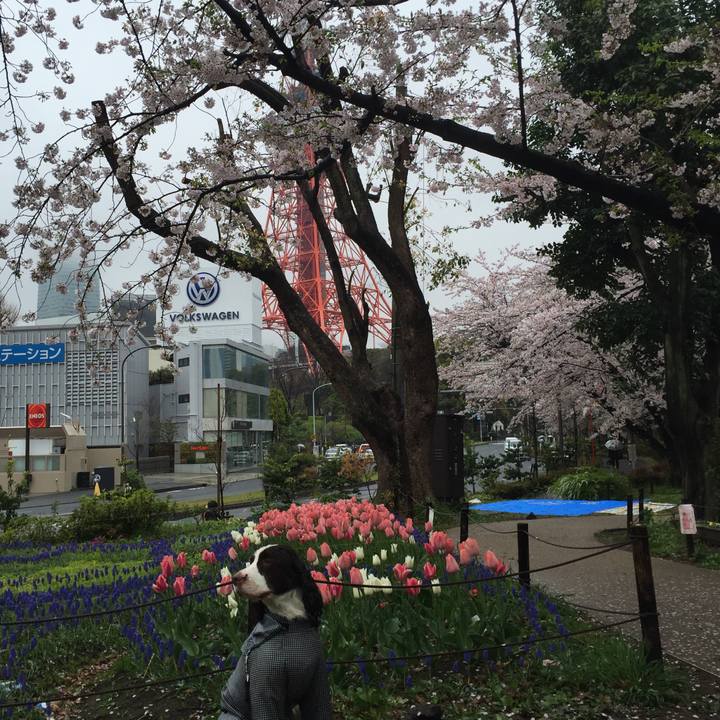 Cde2f606 15b9 4dc8 9c3a 4ef2c2eb74f8