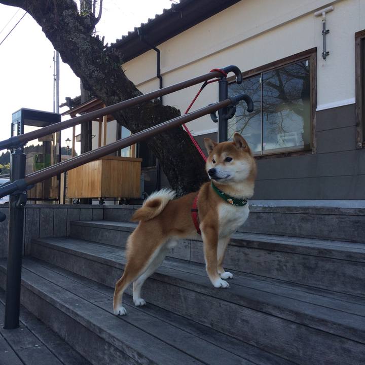 Cde3131e ba52 4c31 a5b4 f7af86bbd6f6