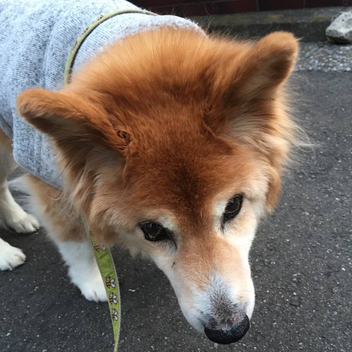 Cde3c993 6806 4ff5 83e4 1556d2f071d2