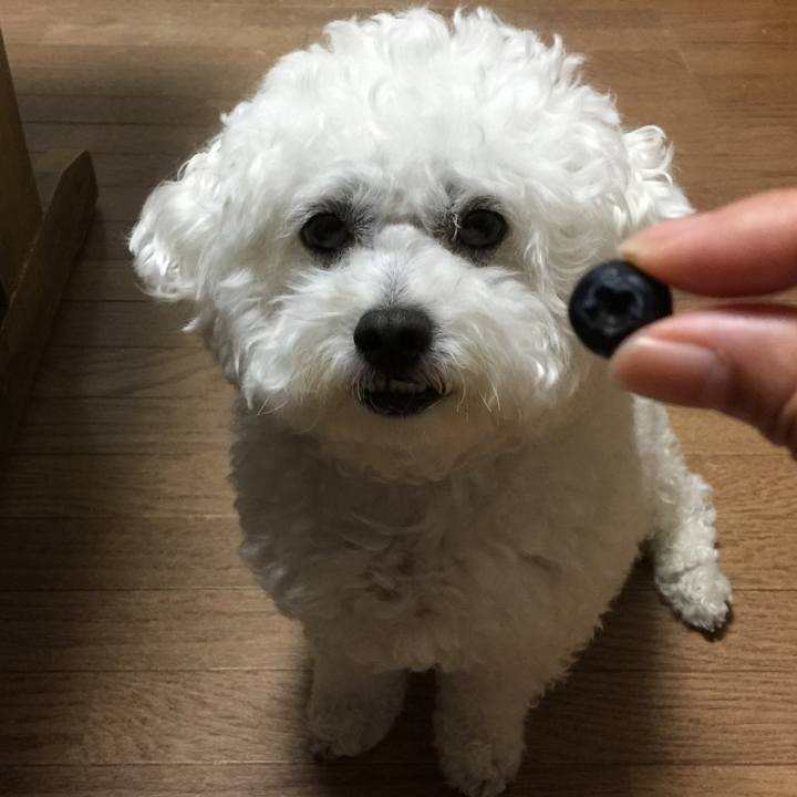 Cde3e79a 2791 4b00 b3e8 a26b66b48192