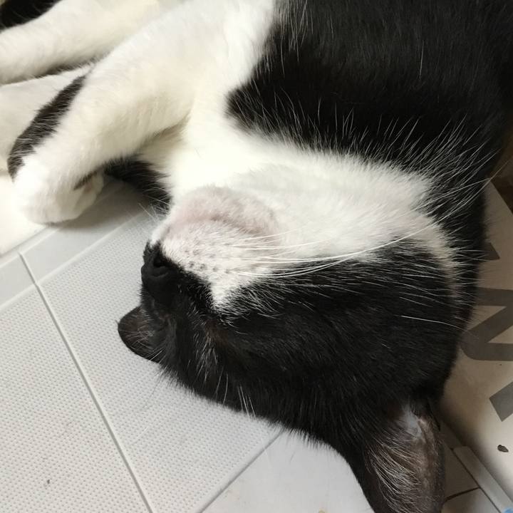 Cde46927 02bf 4499 afcc 437ae3ca2660