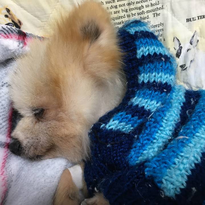 Cde51756 39a7 4f1e bd72 f0a1f6550f70