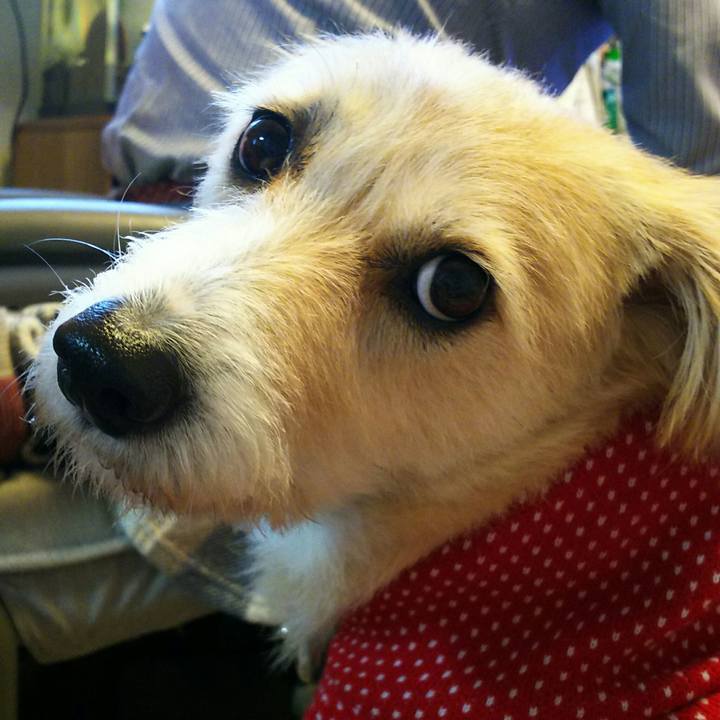 Cde5446b 7788 48d7 a637 6cd88f9bab65