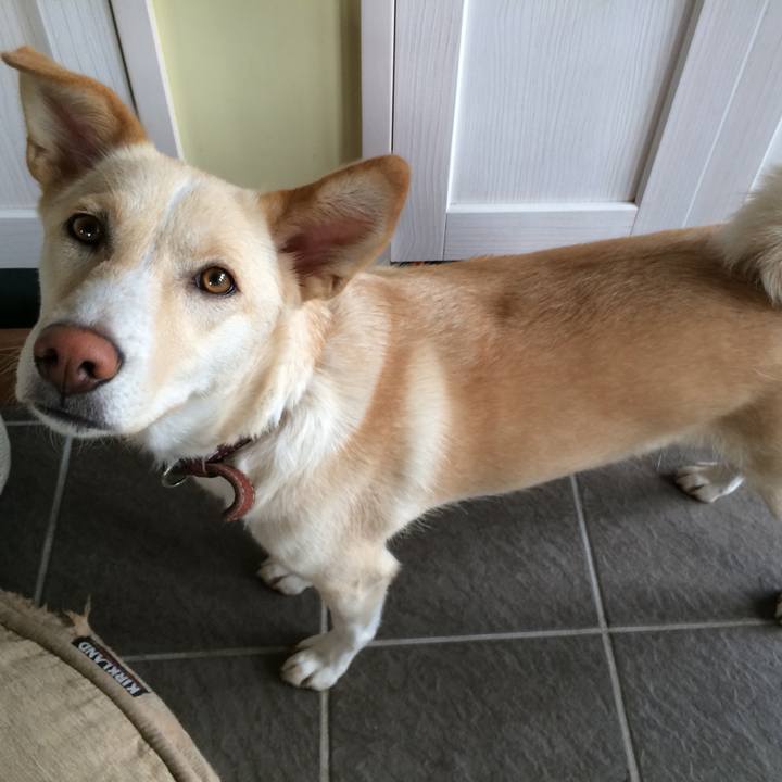 Cde5daff 9cac 476e 98c8 39abb9d10049