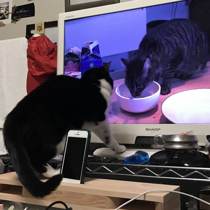 Cde677b7 db1d 468b 9742 eeafb1498e23