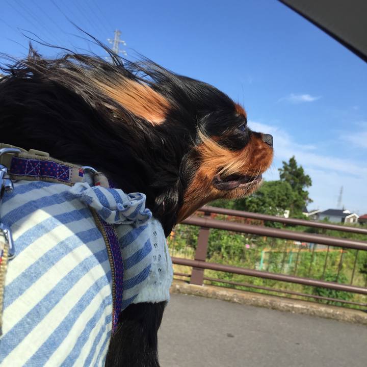 Cde779de e494 41a6 8471 7f844da860e2