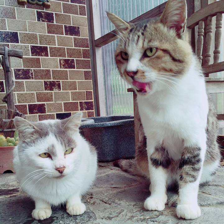 Cde79b19 0224 4ac6 85a0 bcaf17987b1e