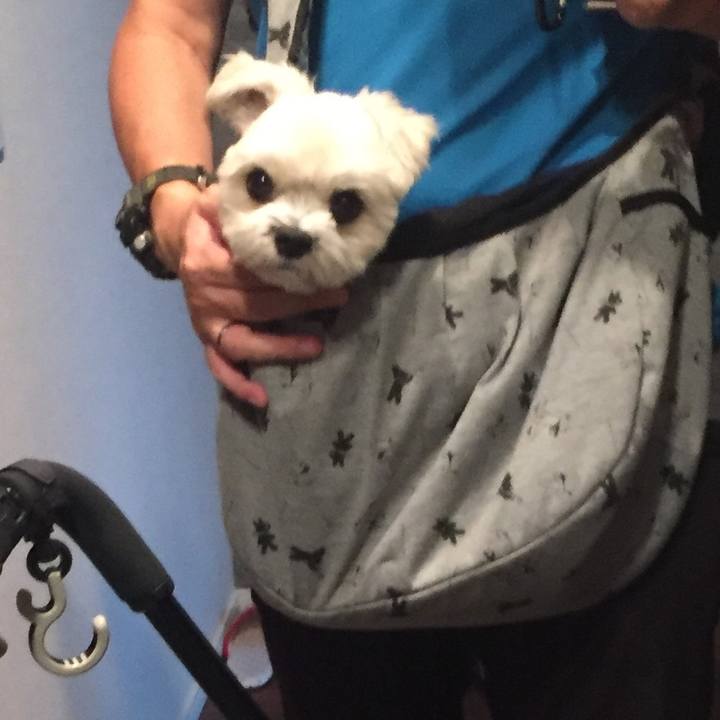 Cde7e0bb be99 44c4 8de7 bde3ec443d67