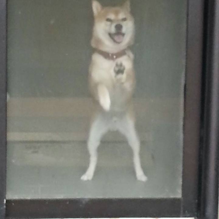 Cde9009d 7d2c 40e3 b9bd a1f046ce0600