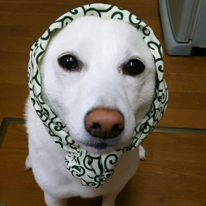 Cde942ec 62dd 42f8 98fb 9444a7dd5a79