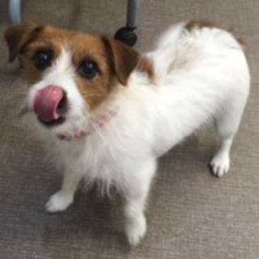 Cde98e0f d419 4cde aece 01033ee08f2e