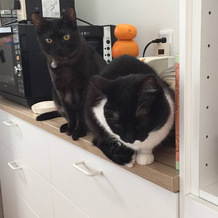 Cdeaea8d e341 4056 baf5 2df3e4568bed