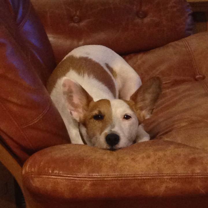 Cdeb0518 1af7 4d3f 8572 d35862e20668