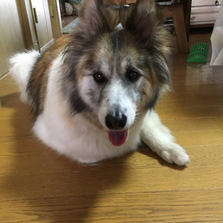 Cdeb16c2 7d4e 460f a046 058c013c5b94