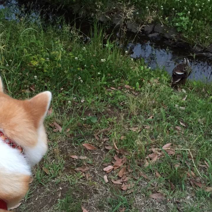 Cdeb6dab 1eb0 4367 8916 5dde8463b9a8