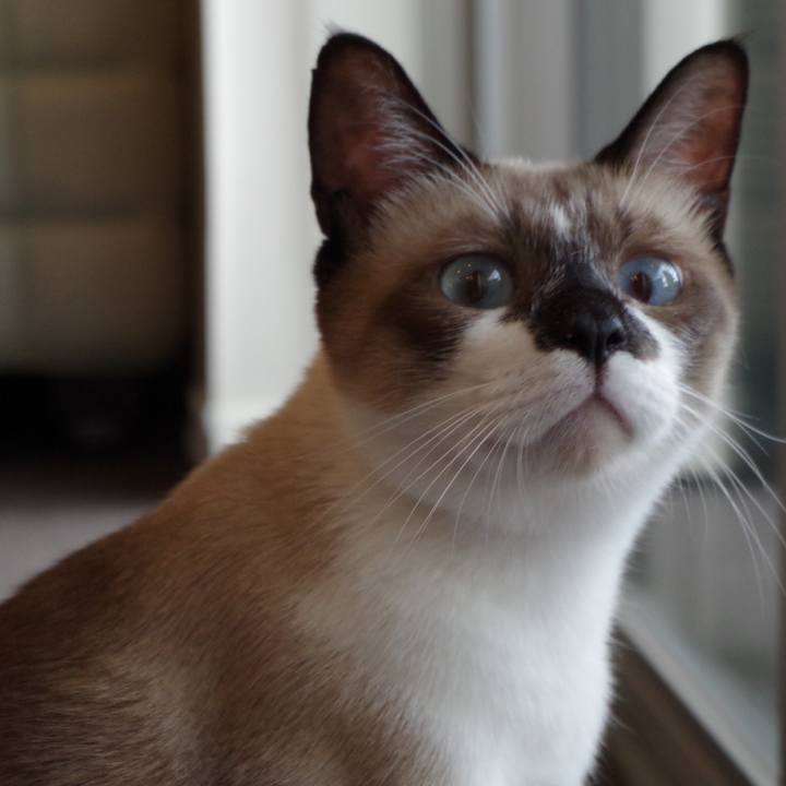 Cdebe43e d7ac 4a9f 98fa a35b4af9aa2f